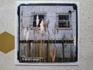 THE CINEMATIC ORCHESTRA To Build A Home 2007 NINJA TUNE 7