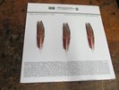 APPLESEED CAST Low Level Owl 3XLP BIG SCHOOL gold vinyl VG++ clean