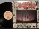SUICIDAL TENDENCIES 1983 ORIGINAL 1ST LP HARDCORE PUNK NM VPI NR