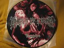 CRADLE OF FILTH vempire ORIG PIC LP dimmu borgir