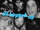 NRBQ - All Hopped Up - NEW SEALED LP with gatefold jacket