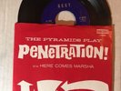THE PYRAMIDS..  Penetration - 45 RPM with Picture Sleeve. Best 13002