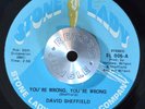 CROSSOVER SOUL 45 - DAVID SHEFFIELD - YOU'RE WRONG , YOU'RE WRONG VG+ Hear