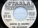the GALLAHADS doowop soul STARLA VG++ promo 45 Keeper of Dreams / Sad Girl kz118