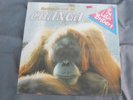 THE LATIN BROTHERS BAILANDO CON LA CHANGA MEXICAN LP TROPICAL R SALSA SEALED