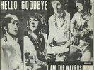 BEATLES HELLO GOODBYE/I AM THE WALRUS HOLLAND Parlophone great picture sleeve