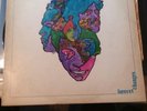 LOVE Forever Changes LP Rare US 1st press Gold label nice shape Arthur Lee