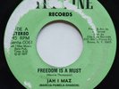 JAH I MAZ Freedom Is A Must CITY LINE ROOTS REGGAE WACKIE'S 45 mp3