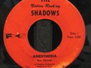 NATION ROCKING SHADOWS ANESTHESIA RARE 60's FLORIDA GARAGE SURF PUNK 45 LISTEN