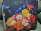 THE TEARDROP EXPLODES Julian Cope WILDER 1981 MERCURY rare vinyl OOP
