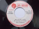 DAVE ROBINSON - MY HOME LAND 7'' 1976 JA-MAN VG LISTEN