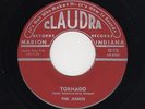 '59 TwinSpin GARAGE Rockabilly JIANTS Tornado/She's My Woman CLAUDRA M- HEARBOTH