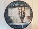 DARK TRANQUILLITY - HAVEN - 12“ Picture Disc - RAR - mint