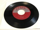 THE ROBINS Riot In Cell Block #9/Wrap It Up 45 RPM Spark Records 45X103