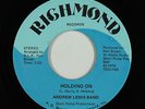 Modern Soul Funk 45 - Andrew Lewis Band - Holding On - Richmond - VG+ mp3