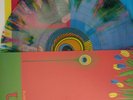 Fun - Aim and Ignite Vinyl LP - Clear Rainbow Splatter The Format - SIGNED
