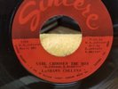 Lashawn Collin Sincere What You Gonna Do / Girl choose The Boy Northern Soul 45