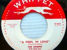 THE ROBINS doowop Whippet 45 A FOOL IN LOVE ALL OF A SUDDEN MY HEART SINGS D1067
