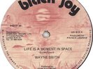 Wayne Smith Life Is A Moment In Space UK 12