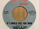 Rare Sunny & The Sunliners RPR R-105 