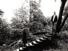 TIMBER TIMBRE - TIMBER TIMBRE (NEW VERSION)  VINYL LP NEW