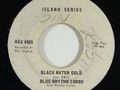 Blue Rhythm Combo 