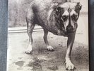 ALICE IN CHAINS 2x LP Self-Titled Tripod 1995 Columbia Vinyl Record