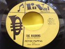 Hear Rare 65' Garage Rock 45 : Peter Pappas   The Warning   RuVal 069