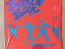 Beastie Boys Cookypuss French Black Vinyl Record Ep Maxi Single Insert Poster