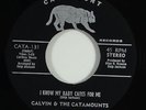 Calvin & the Catamounts 