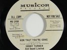 Sonny Turner 