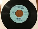 The Lavender Hour 45 Texas Garage I’m Sorry Hang Loose Steffek Records