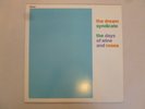 the dream syndicate 