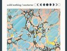 Wild Nothing - Nocturne
