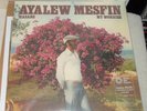 AYALEW MESFIN Hasabe My Worries Vinyl Me Please VMP Exclusive Colored LP SEALED