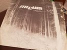 The Cure: A Forest 7