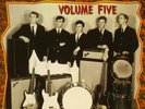 LP - VA - Strummin Mental Vol. 5
