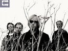 PETTY,TOM & HEARTBREAKERS-ECHO VINYL LP NEW