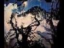 BURNING FROM THE INSIDE [12/7] NEW VINYL