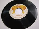 ACIAMAJ - JAH CHOSEN PEOPLE // VERSION [ BIG CAT  7