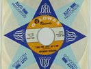 Deep Soul 45 - Spencer Wiggins - Take Me Just As I Am - Goldwax - VG++ mp3
