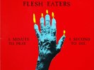 THE FLESH EATERS 