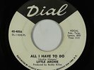 Northern Soul 45 - Little Archie - All I Have To Do - Dial - VG+ mp3