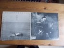THE WHO... QUADROPHENIA ////////// THE SINGLES COMPILATION. Classic rock.