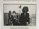 PROMO LP- Kapt. Kopter & the Fabulous Twirly Birds 
