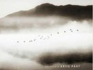The sound of Arvo Part [VINYL], 0825646043798
