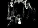 Immortal-Pure Holocaust (Ltd. (US IMPORT) VINYL LP NEW
