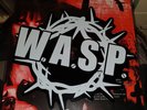 WASP  scream  Shape  2018  W.A.S.P.