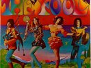The Fool-Self Titled-Psych/Folk-Record VG++ -1969