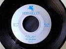 The FUN-ATICS - Wise Guy / I Wanna Know rare doowop 45 on Versailles VG++